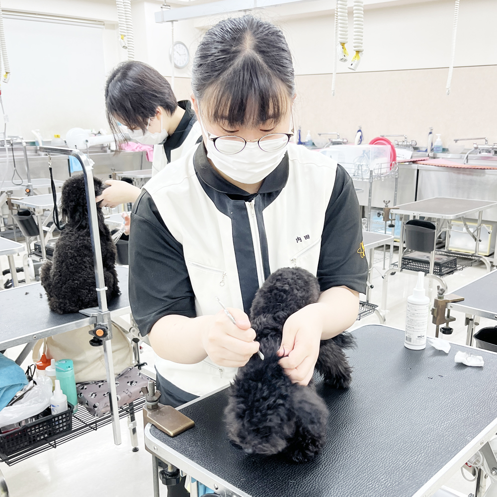 ２年生のトリミング実習♪